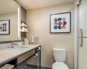 Hilton Garden Inn Chicago / Oak Brook