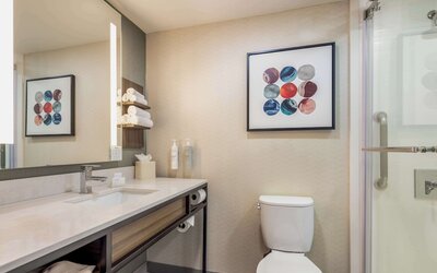 Hilton Garden Inn Chicago / Oak Brook