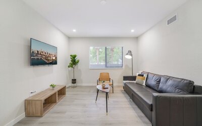 Stylish Apartments on Iconic Calle Ocho