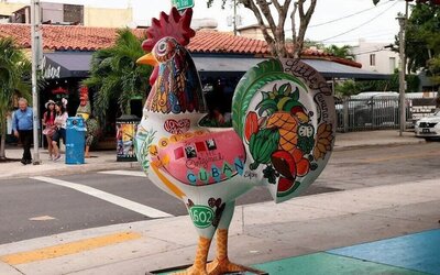 Stylish Apartments on Iconic Calle Ocho
