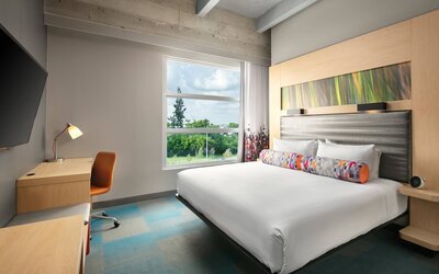Room, 1 King Bed, Pool View