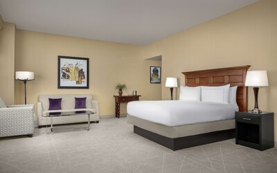 DoubleTree by Hilton Chicago O'Hare Airport - Rosemont