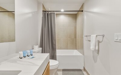 Luxury Condo at The Crosby Miami