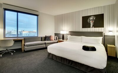 The Rose Chicago, Tapestry Collection by Hilton