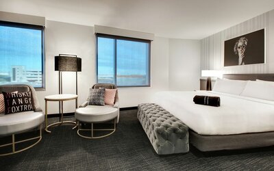 The Rose Chicago, Tapestry Collection by Hilton