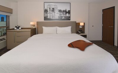Hampton Inn San Francisco Downtown/Convention Center