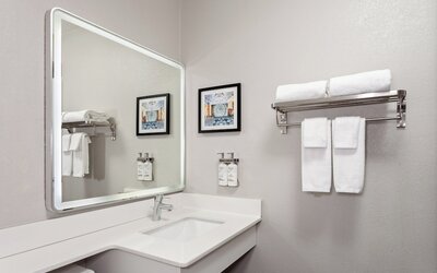 Holiday Inn Chicago Oakbrook by IHG