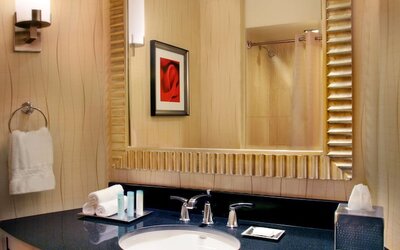 Hilton Rosemont Chicago O'Hare