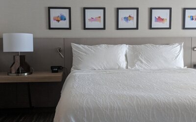 Hilton Garden Inn Chicago North Shore/Evanston
