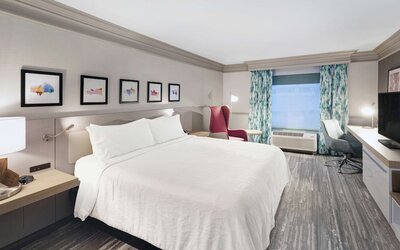 Hilton Garden Inn Chicago North Shore/Evanston