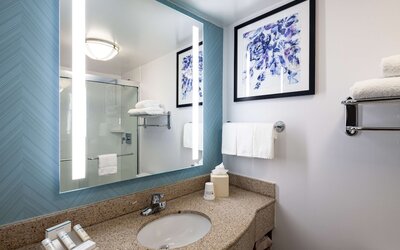 Hilton Garden Inn Chicago OHare Airport