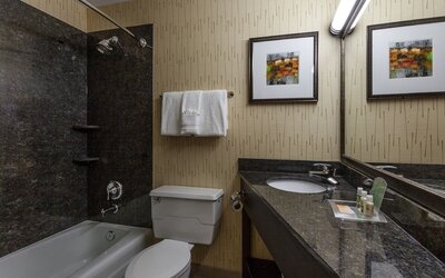 Holiday Inn Chicago North-Evanston by IHG