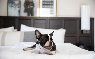 The Clift Royal Sonesta San Francisco