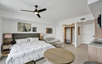 Luxury Downtown Condos with City Views
