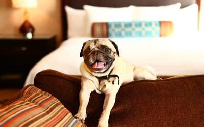 Staybridge Suites Chicago - Glenview by IHG