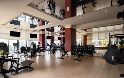 Miami 1BR Getaway for 4 Guests at The Crosby