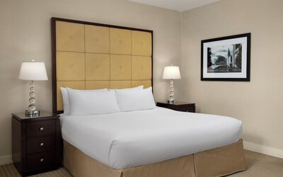 Millennium Hotel Knickerbocker Chicago