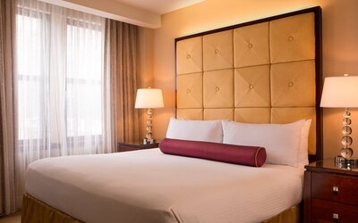 Millennium Hotel Knickerbocker Chicago