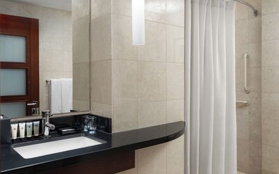 Millennium Hotel Knickerbocker Chicago
