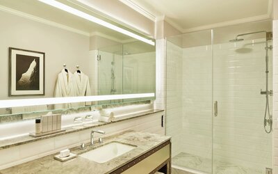 Palace Hotel, a Luxury Collection Hotel, San Francisco