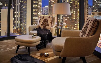 Viceroy Chicago
