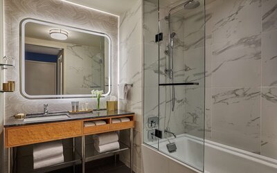 Viceroy Chicago