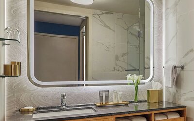 Viceroy Chicago