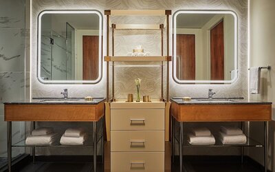 Viceroy Chicago