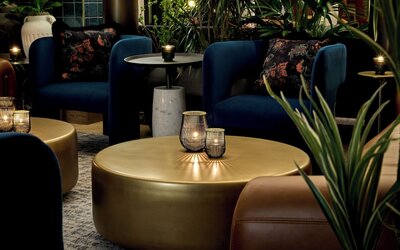 Viceroy Chicago