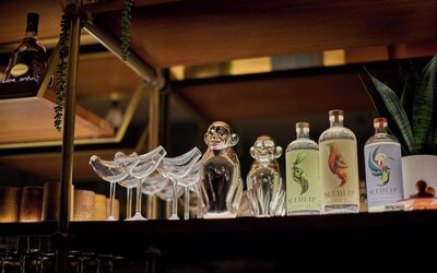 Viceroy Chicago