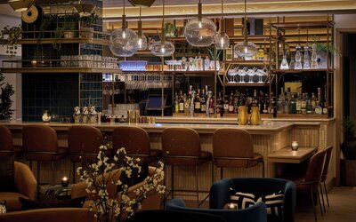 Viceroy Chicago
