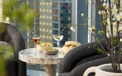 Viceroy Chicago