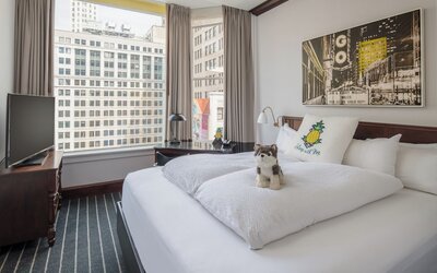 Staypineapple, An Iconic Hotel, The Loop