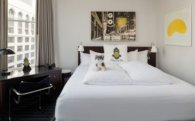Staypineapple, An Iconic Hotel, The Loop