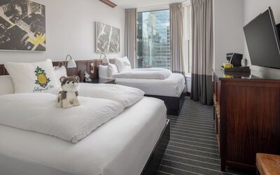 Staypineapple, An Iconic Hotel, The Loop