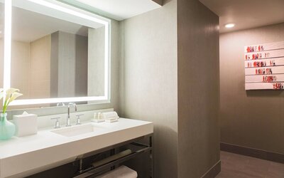 Renaissance Chicago Downtown Hotel