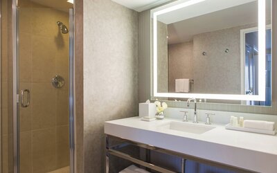 Renaissance Chicago Downtown Hotel