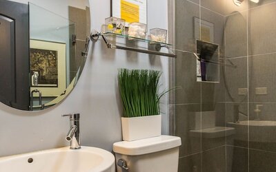 Mccormick Place Guest House
