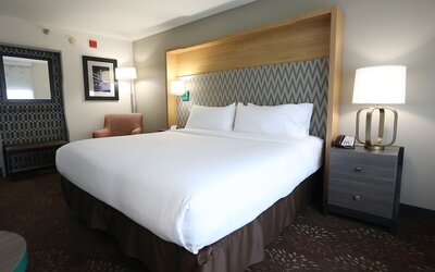 Holiday Inn Chicago O'Hare Area by IHG