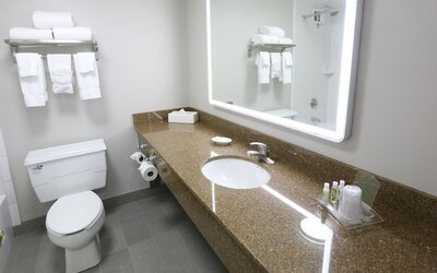 Holiday Inn Chicago O'Hare Area by IHG
