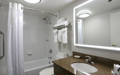 Holiday Inn Chicago O'Hare Area by IHG