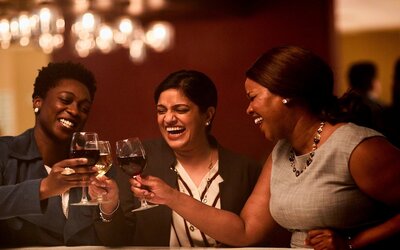 Holiday Inn Chicago O'Hare Area by IHG