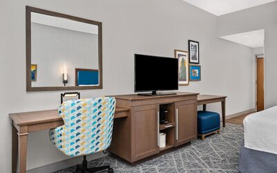 Hampton Inn Chicago North-Loyola Station