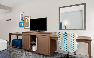 Hampton Inn Chicago North-Loyola Station