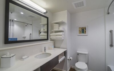 Hampton Inn Chicago North-Loyola Station