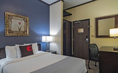 Hotel Fusion