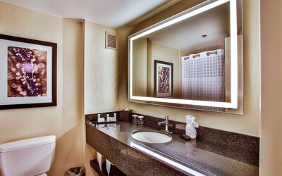 Embassy Suites by Hilton Chicago Downtown Magnificent Mile