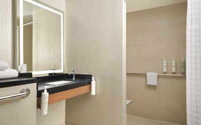 Embassy Suites by Hilton Chicago Downtown Magnificent Mile