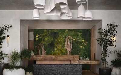1 Hotel San Francisco