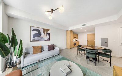 Miami Luxury Condo